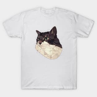 Tiberius T-Shirt